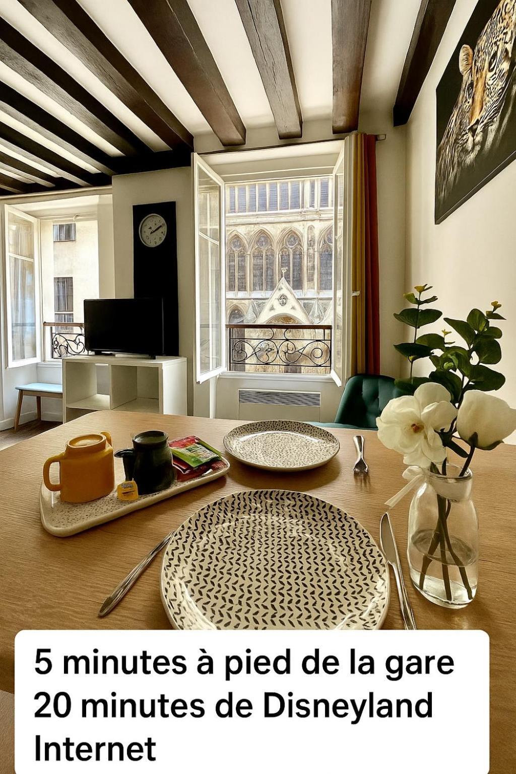 Appartement Vue Cathedrale- Centre Ville Meaux-Gare-Disney 외부 사진